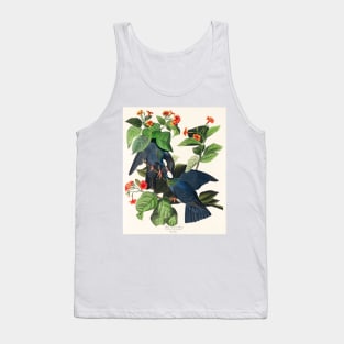 White-crowned Pigeon from Birds of America (1827) Tank Top